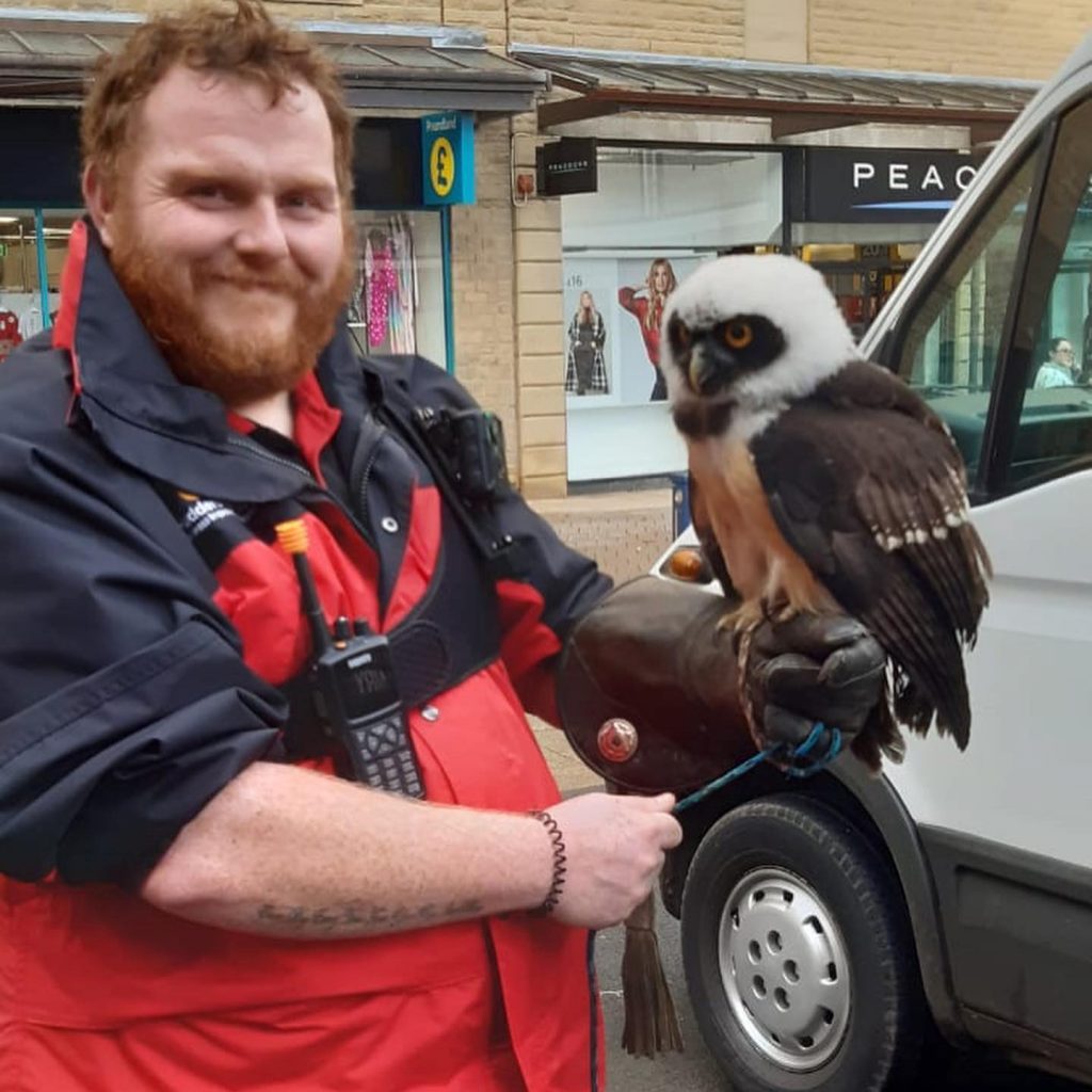 Huddersfield Street Ranger with Owl